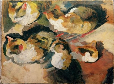 Katzenstudien von August Macke